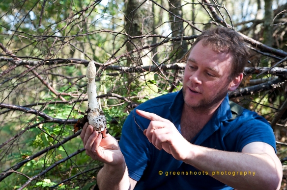 Mark points out the finer points of the stinkhorn